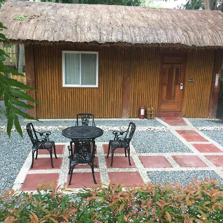 Buenavista Family Inn Tagudin Dış mekan fotoğraf