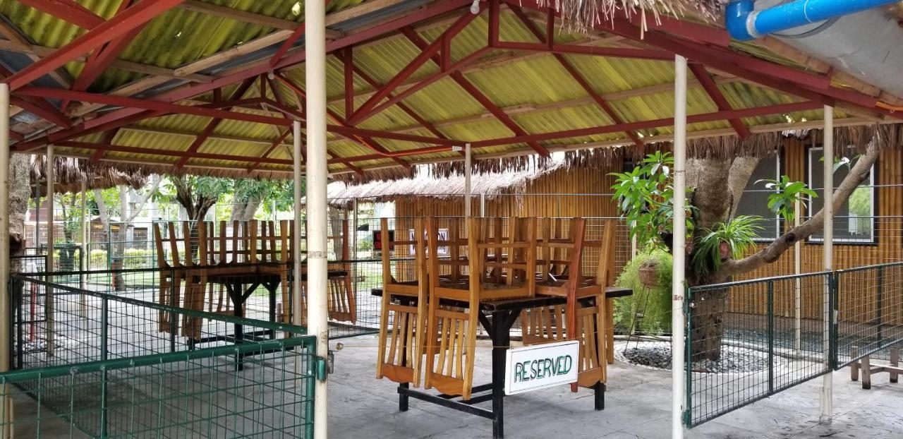Buenavista Family Inn Tagudin Dış mekan fotoğraf
