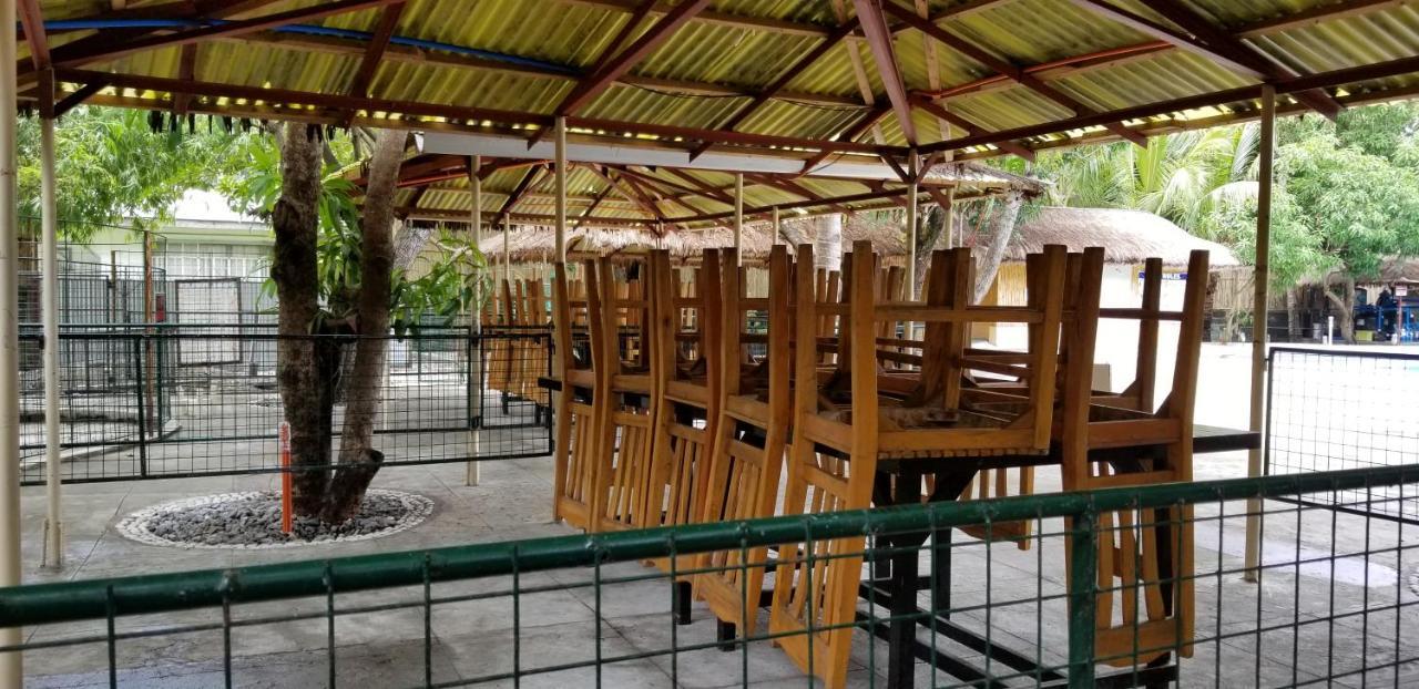 Buenavista Family Inn Tagudin Dış mekan fotoğraf