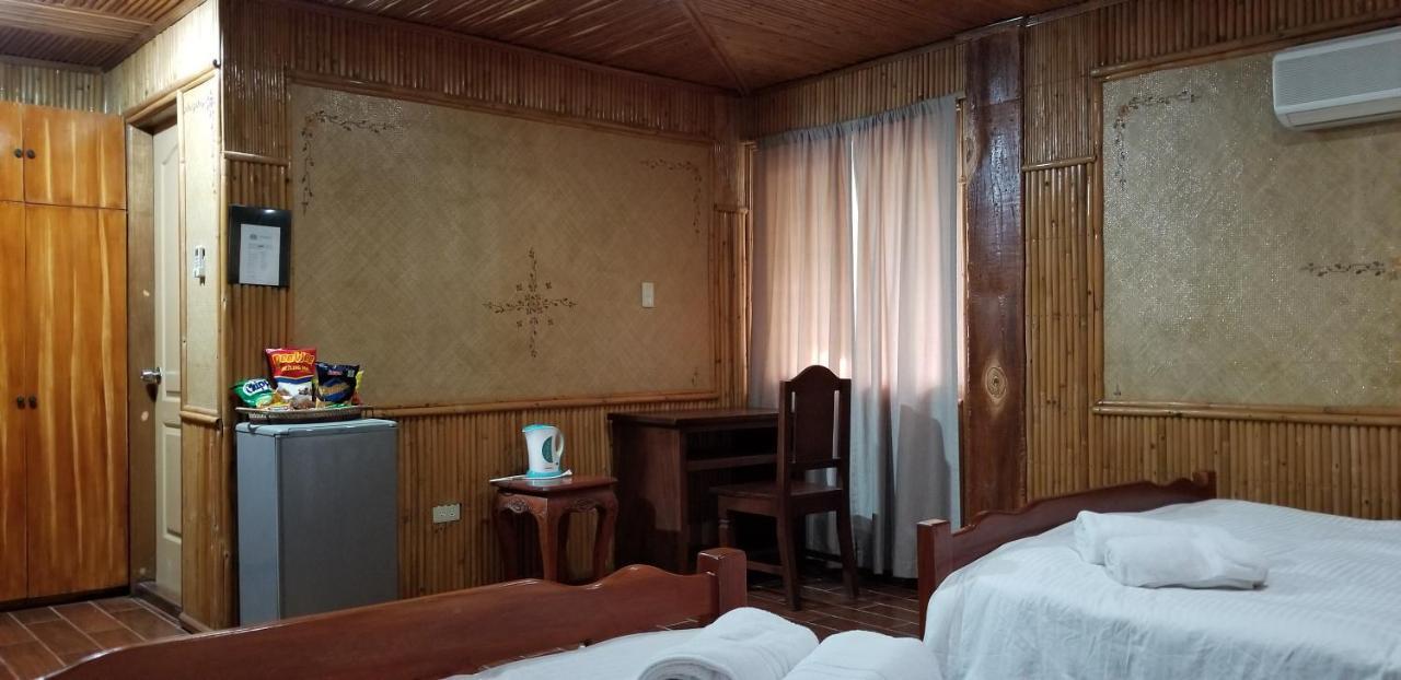 Buenavista Family Inn Tagudin Dış mekan fotoğraf
