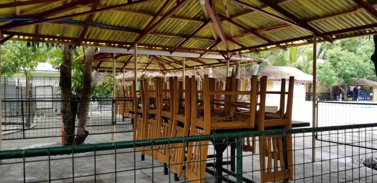 Buenavista Family Inn Tagudin Dış mekan fotoğraf
