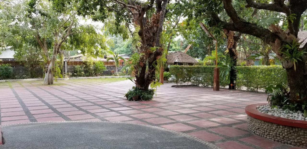 Buenavista Family Inn Tagudin Dış mekan fotoğraf